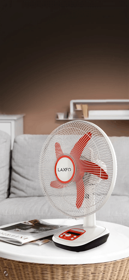 ল্যাক্সফো: প্রতিভা যেখানে বিকশিত হয়